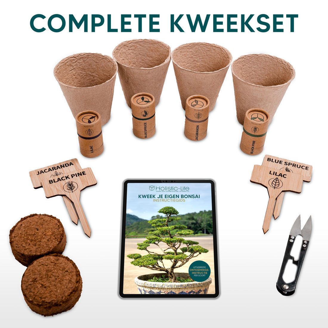 Start met bonsai kweken met deze starters kit.