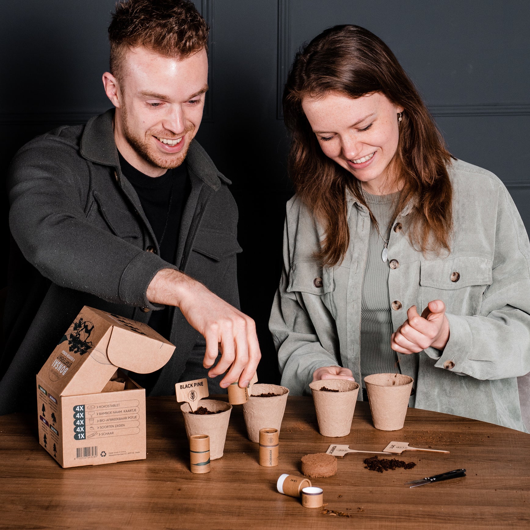 Compacte bonsai kweekset met alle benodigdheden voor bonsai starterskit.