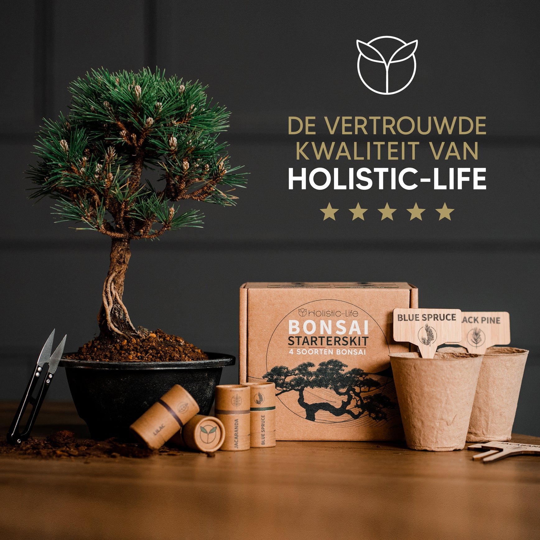 Duurzame bonsai beginnersset voor een milieuvriendelijke start.